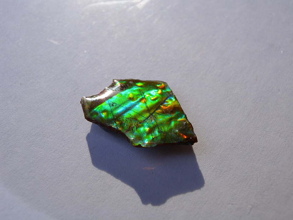 Ammolite specimen Ammolite specimen: gemstone