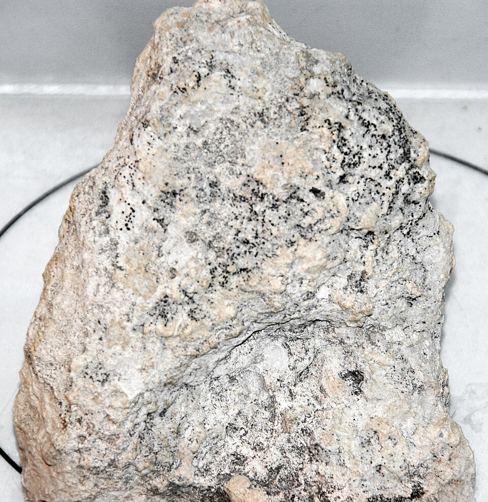 Caliche specimen Caliche specimen: white and cream sedimentary rock