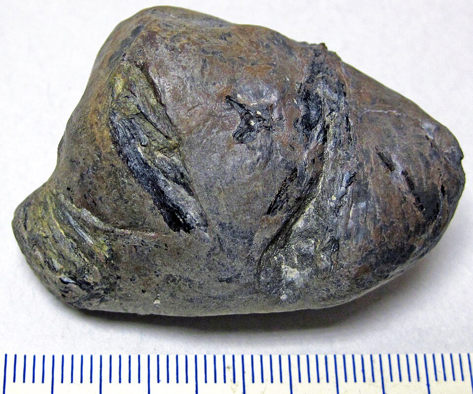 Claystone specimen Claystone specimen: gray and red sedimentary rock