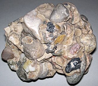 Conglomerate specimen: variegated and gray sedimentary rock