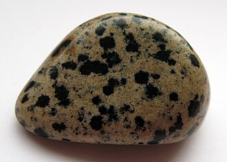 Dalmatian Jasper specimen: cream and white mineral