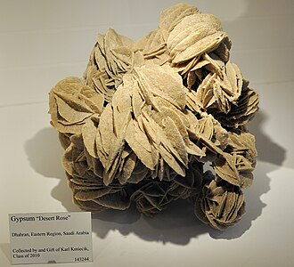Desert Rose specimen: tan and brown mineral