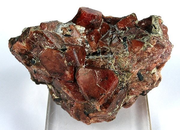 Eudialyte specimen Eudialyte specimen: red and pink mineral