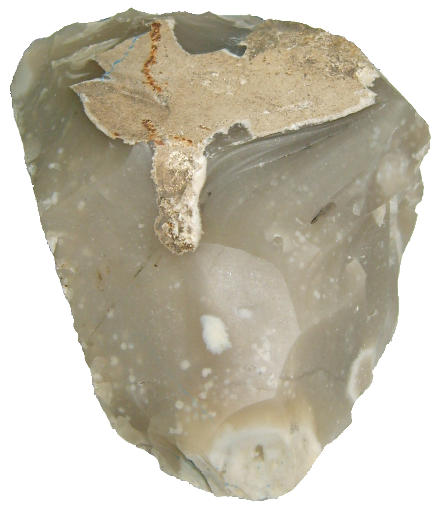 Flint specimen Flint specimen: black and dark gray sedimentary rock