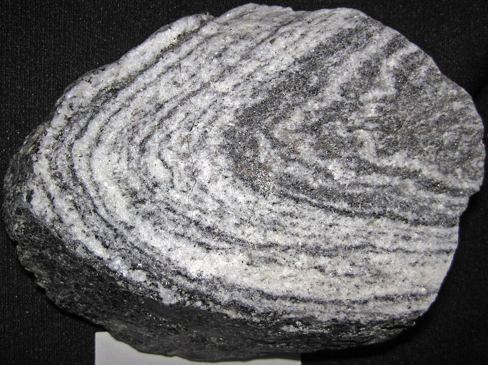 Gneiss specimen Gneiss specimen: gray and pink metamorphic rock