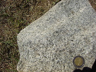 Granodiorite specimen: light gray and gray igneous rock