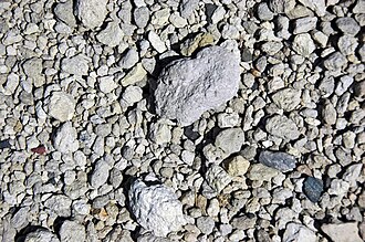 Ignimbrite specimen: tan and pink igneous rock