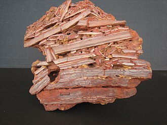 Laterite specimen: red and orange sedimentary rock