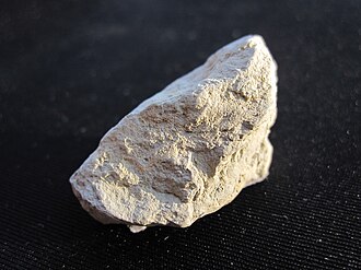 Marl specimen: gray and cream sedimentary rock
