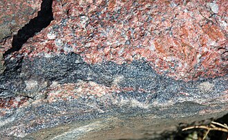 Migmatite specimen: pink and black and light and dark layered metamorphic rock