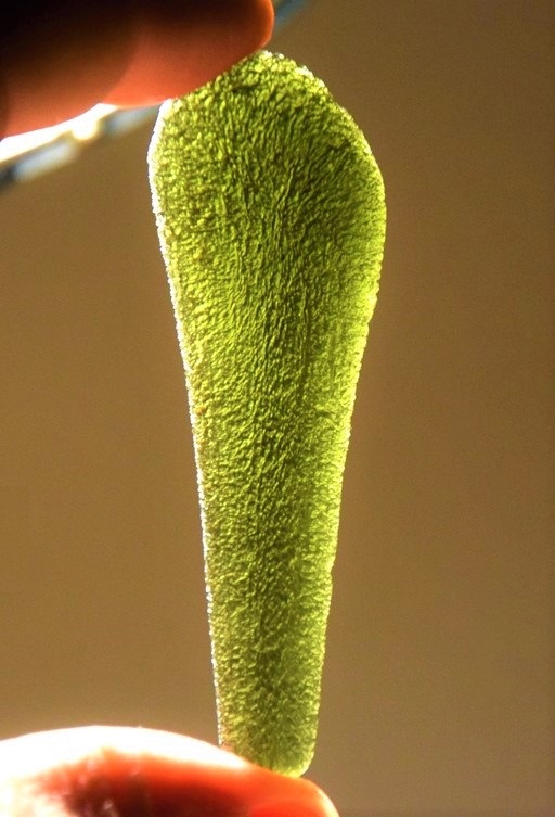 Moldavite specimen Moldavite specimen: forest green and olive green gemstone