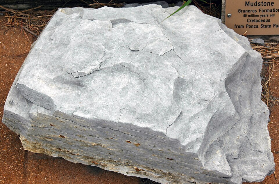 Mudstone specimen Mudstone specimen: gray and brown sedimentary rock