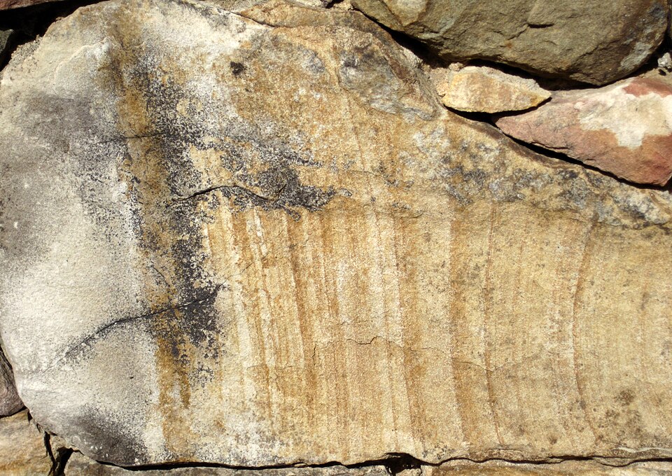 Sandstone specimen Sandstone specimen: tan and brown sedimentary rock