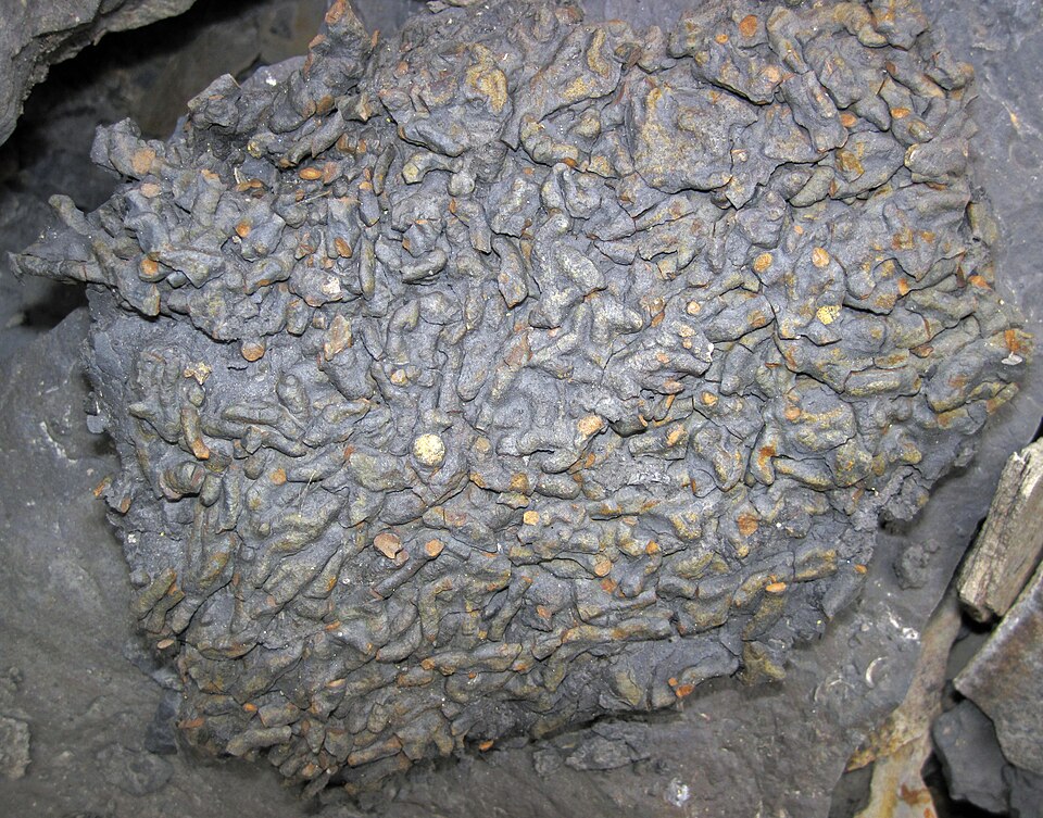 Shale specimen Shale specimen: gray and black sedimentary rock