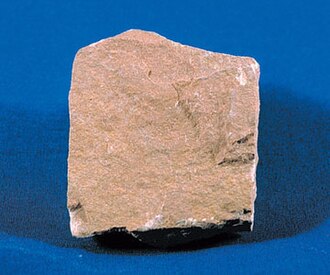 Siltstone specimen: gray and tan sedimentary rock