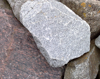 Tonalite specimen: white and gray igneous rock